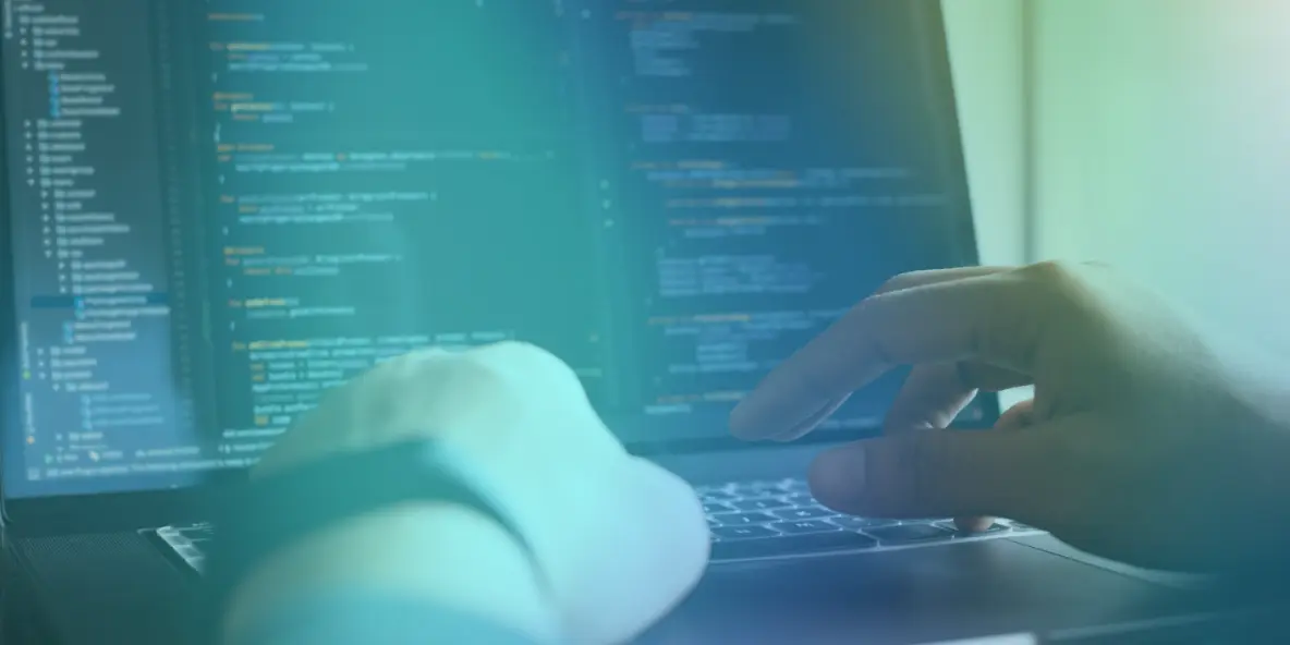 システム開発 / ウェブ開発